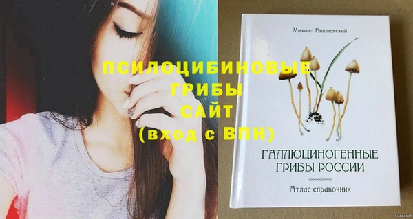 метамфетамин Аркадак