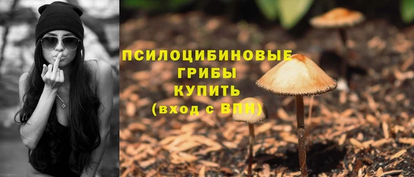 гидра Арсеньев