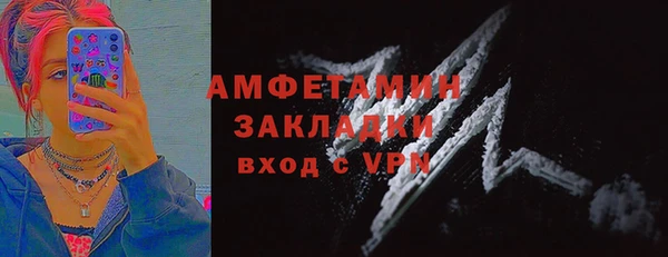 гидра Арсеньев