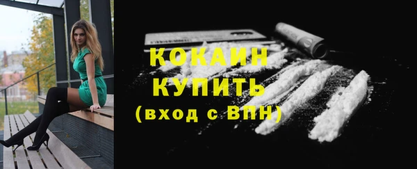 гидра Арсеньев