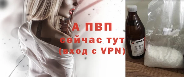 гидра Арсеньев