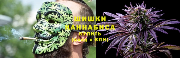 гидра Арсеньев