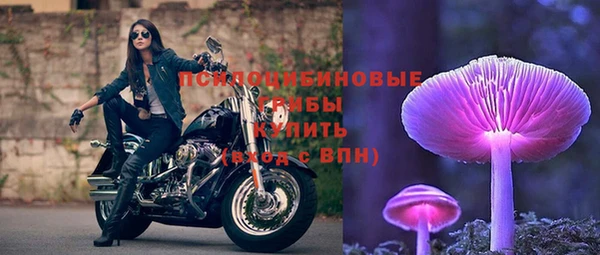 гидра Арсеньев