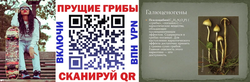 ссылка на мегу вход  Кириши  Галлюциногенные грибы мухоморы 