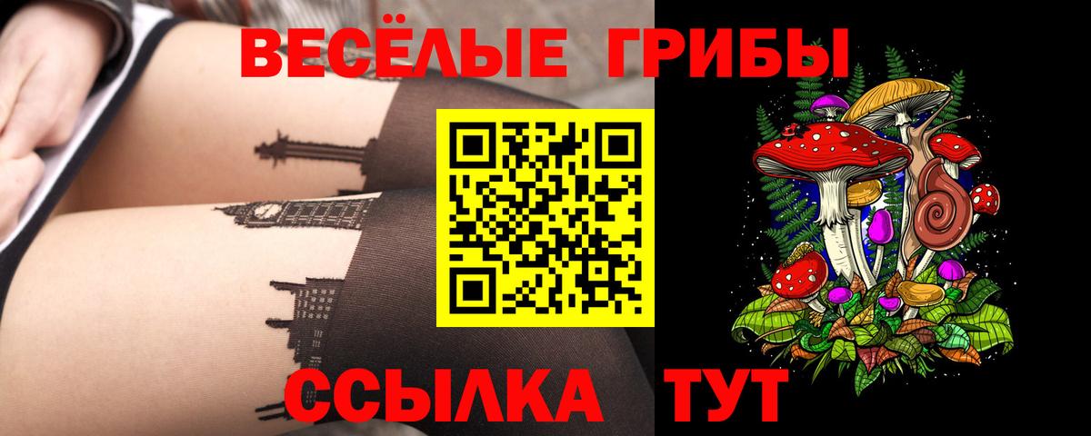Псилоцибиновые грибы прущие грибы Кириши