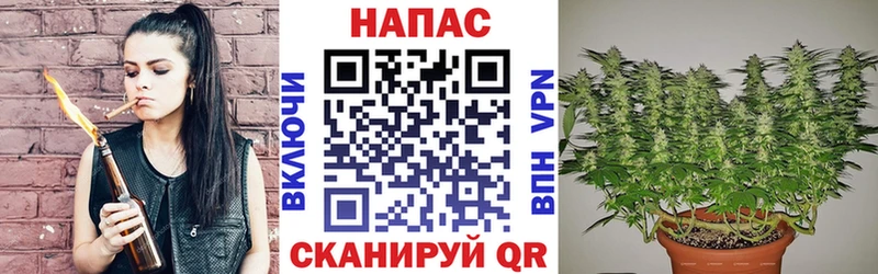 Марихуана индика  Кириши 